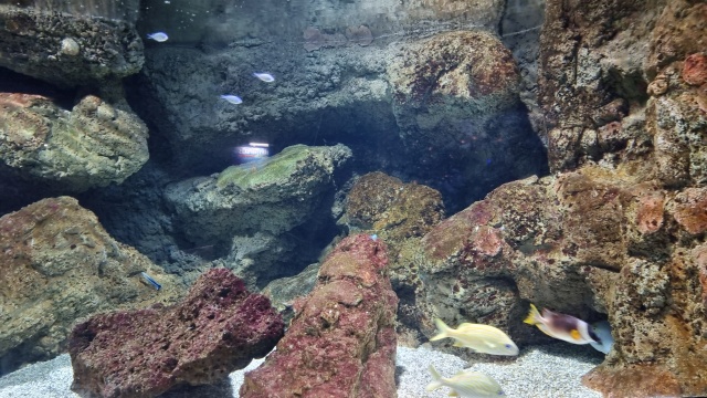 ../images/fotoalbum/lanzarote23/2023-09-18 10.44.35